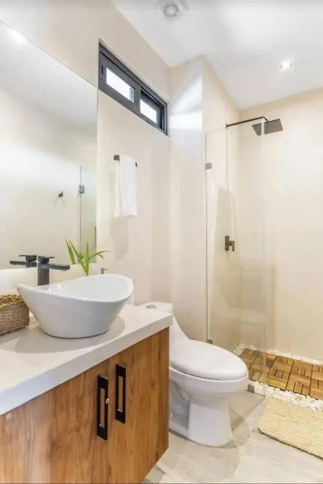 Modern Urban Jungle With Luxury Mayan Style Tulum Mexico