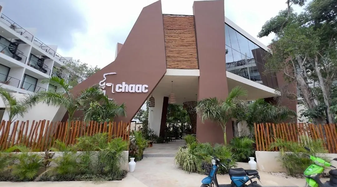 Modern Urban Jungle With Luxury Mayan Style Tulum Mexico